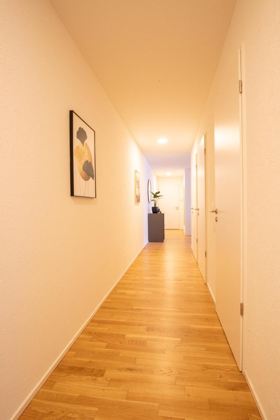 Special Einstein II Apartment Basel, Messe Kleinbasel 10-Star Екстериор снимка
