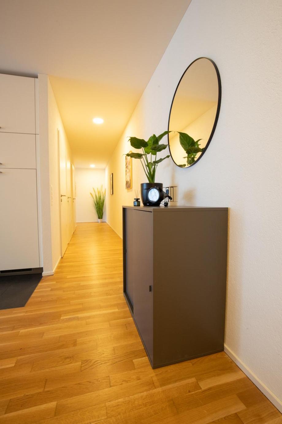 Special Einstein II Apartment Basel, Messe Kleinbasel 10-Star Екстериор снимка
