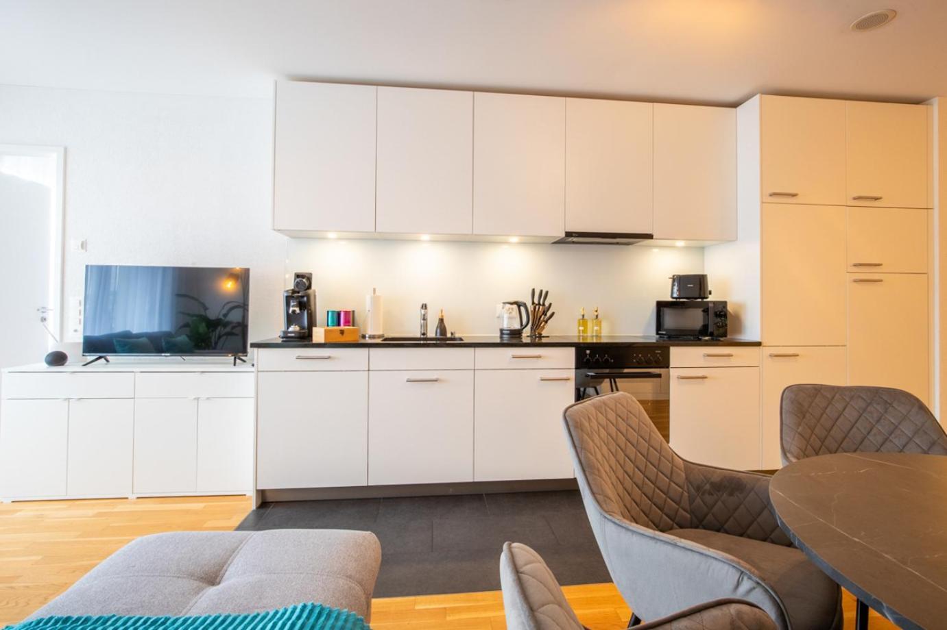 Special Einstein II Apartment Basel, Messe Kleinbasel 10-Star Екстериор снимка